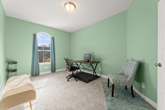 454 Patina Dr, Montgomery, TX 77316 - home office with carpet and baseboards