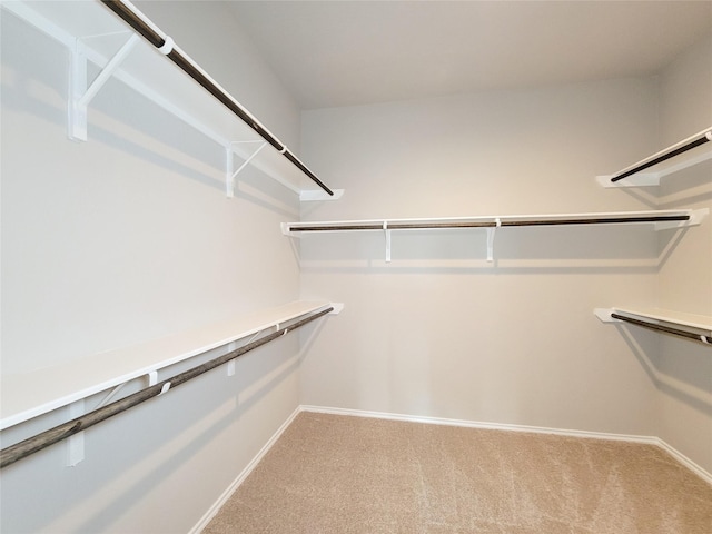 5426 Redwood Summit Ln, Katy, TX 77449 - walk in closet featuring light colored carpet