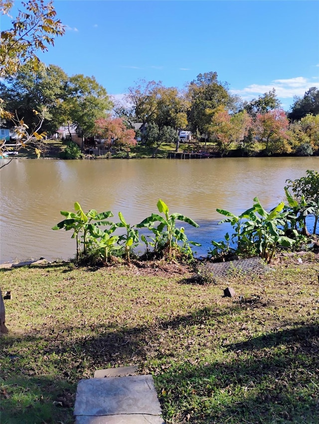 526 Guyer St, Sugar Land, TX 77498 - water view