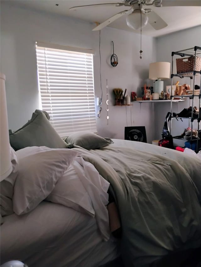 526 Guyer St, Sugar Land, TX 77498 - bedroom featuring ceiling fan