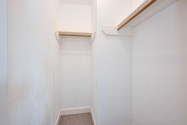 3406 Mesquite Dr, Sugar Land, TX 77479 - walk in closet with carpet flooring