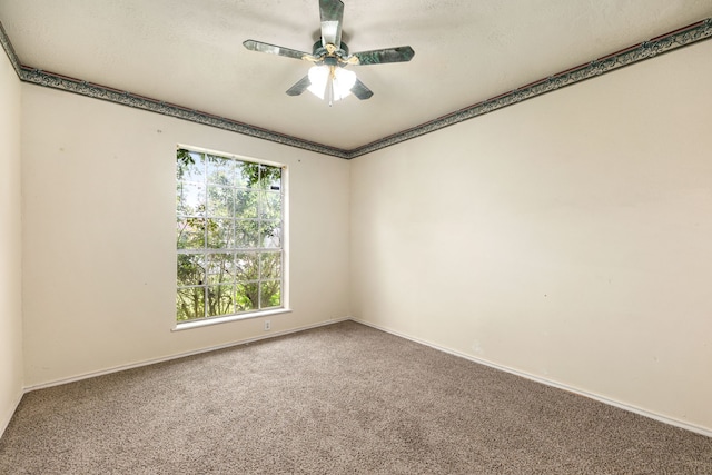 8442 Lettie St, Houston, TX 77075 - empty room featuring carpet flooring, ceiling fan, and baseboards
