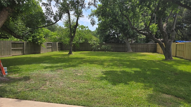 1125 Robert St, Pearland, TX 77581 - photo 5