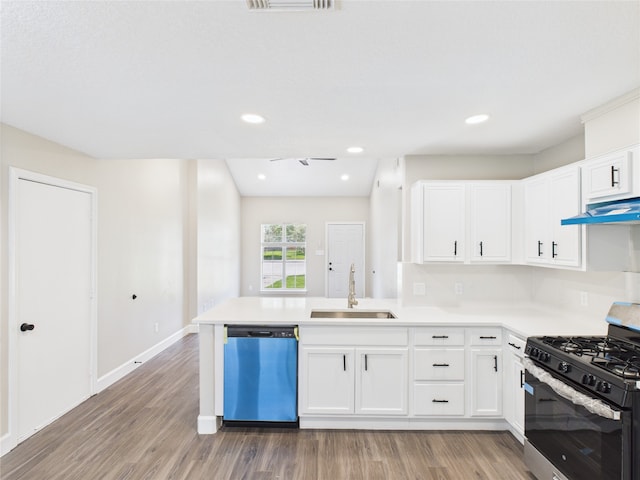 3219 Ricewood Dr, Porter, TX 77365 - kitchen with stainless steel appliances, a sink, under cabinet range hood, light wood-type flooring, and recessed lighting