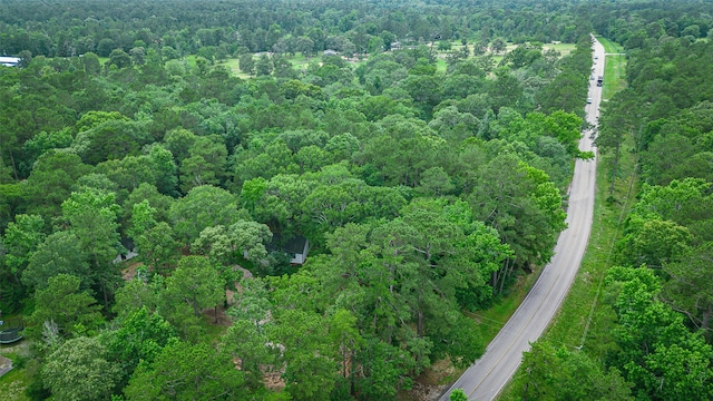 12028 Cedar Ln, Conroe, TX 77303 - photo 2