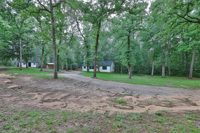 12028 Cedar Ln, Conroe, TX 77303 - photo 5