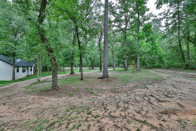12028 Cedar Ln, Conroe, TX 77303 - photo 39