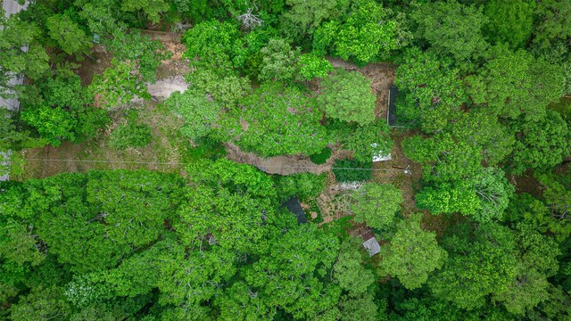 12028 Cedar Ln, Conroe, TX 77303 - photo 50