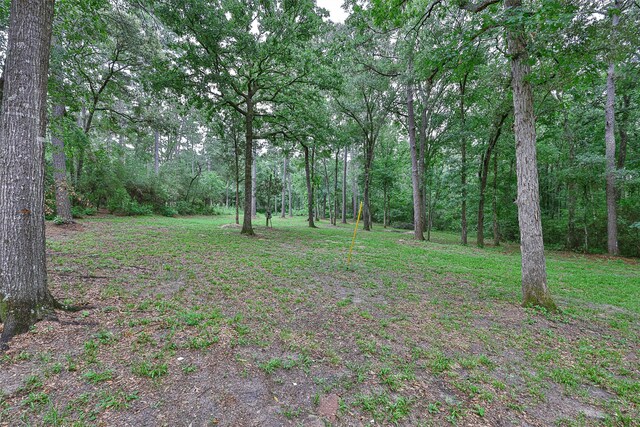 12028 Cedar Ln, Conroe, TX 77303 - photo 40