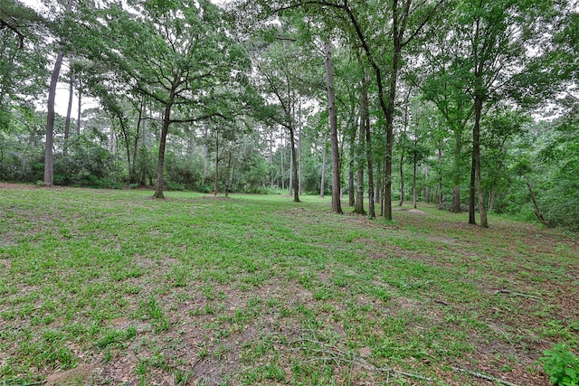 12028 Cedar Ln, Conroe, TX 77303 - photo 41