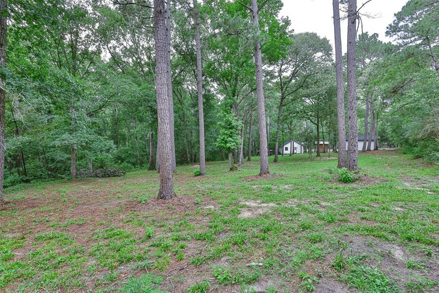 12028 Cedar Ln, Conroe, TX 77303 - photo 43