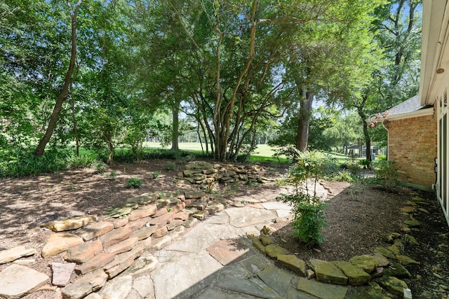 110 Canterbury Green Dr, Conroe, TX 77356 - view of yard