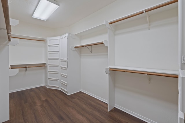110 Canterbury Green Dr, Conroe, TX 77356 - spacious closet with dark wood-type flooring