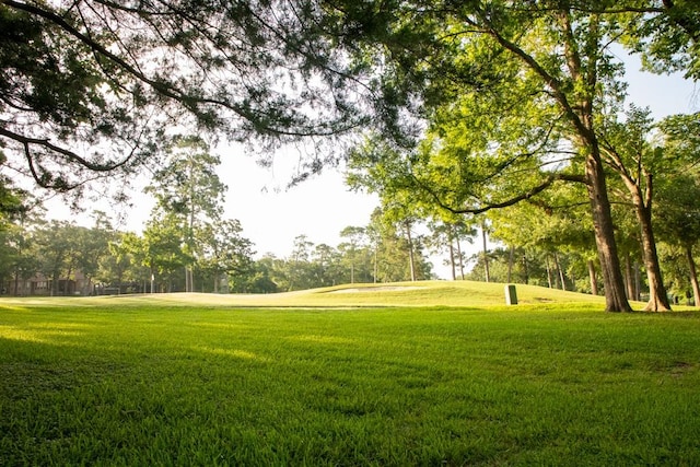 110 Canterbury Green Dr, Conroe, TX 77356 - surrounding community with a lawn and view of scattered trees