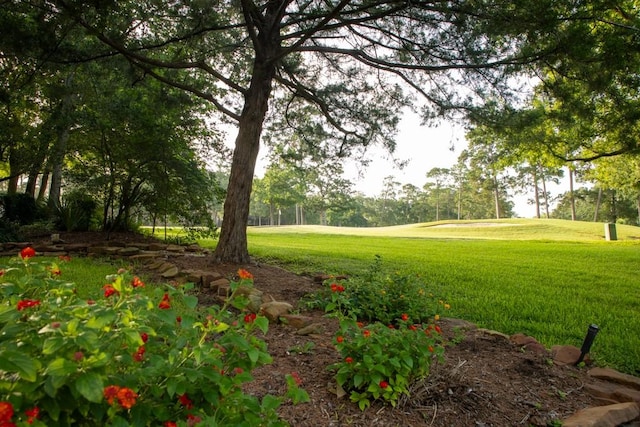 110 Canterbury Green Dr, Conroe, TX 77356 - view of grassy yard