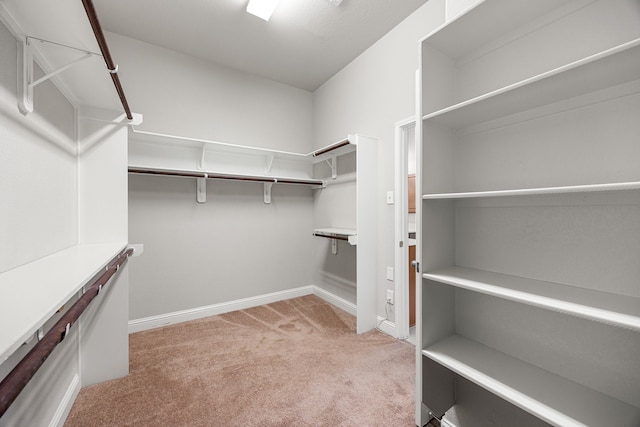 18738 Fox Kestrel Trl, Cypress, TX 77429 - walk in closet featuring light carpet