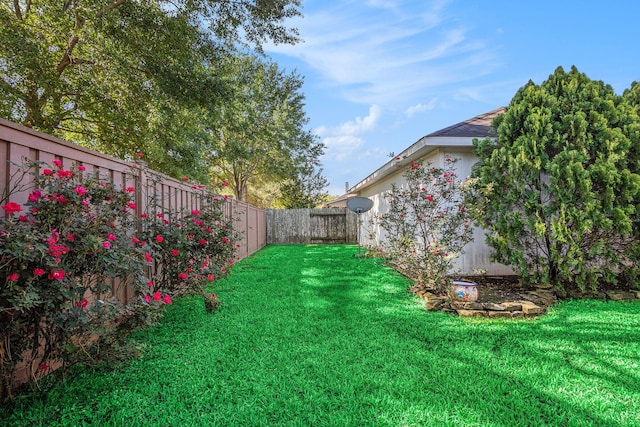 16618 S Swirling Cloud Ct, Cypress, TX 77433 - view of yard