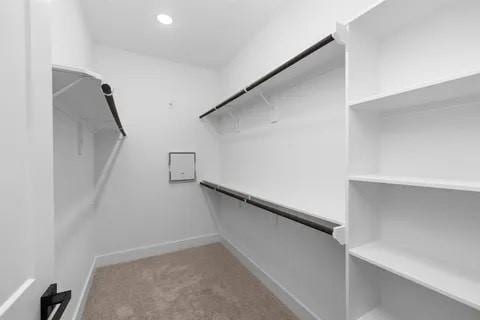 3022 Live Oak St, Houston, TX 77004 - walk in closet featuring carpet floors