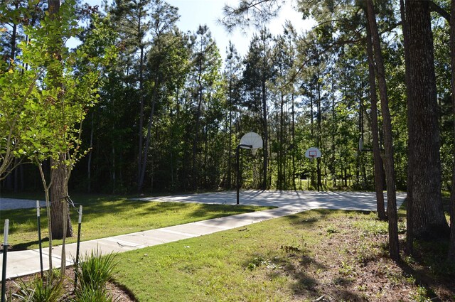 17905 Chestnut Dr, Waller, TX 77484 - photo 25