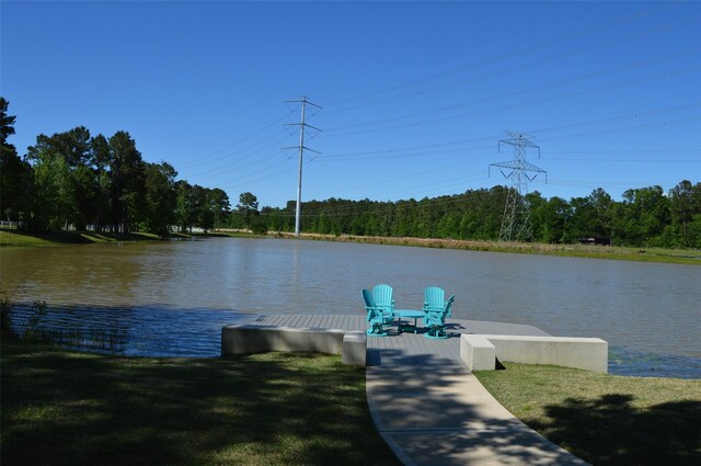 17905 Chestnut Dr, Waller, TX 77484 - photo 10