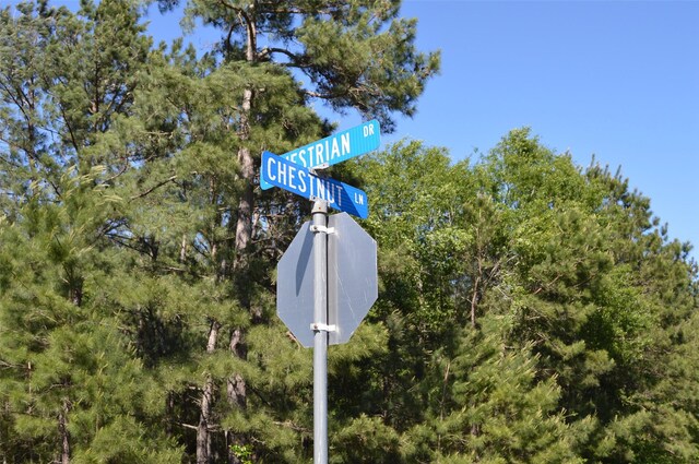 17905 Chestnut Dr, Waller, TX 77484 - photo 31