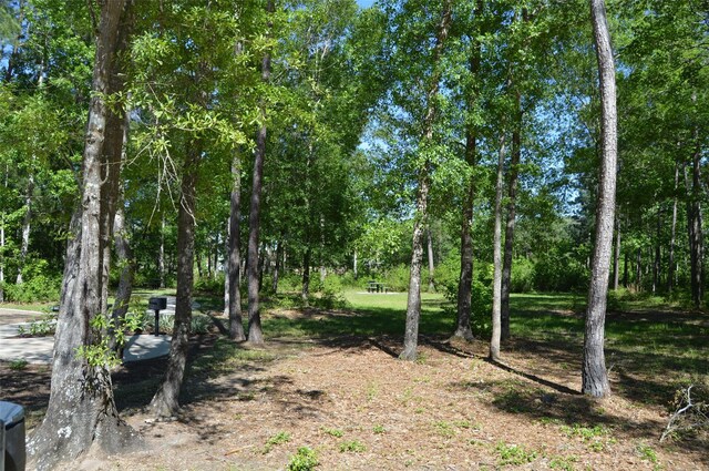 17905 Chestnut Dr, Waller, TX 77484 - photo 14