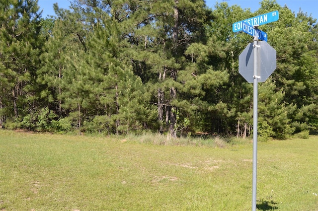 17905 Chestnut Dr, Waller, TX 77484 - photo 4