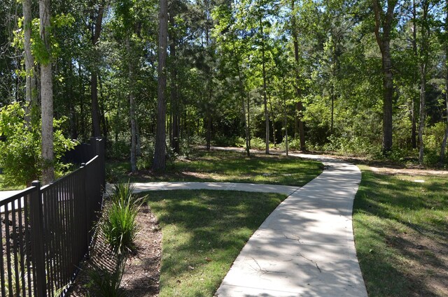 17905 Chestnut Dr, Waller, TX 77484 - photo 11