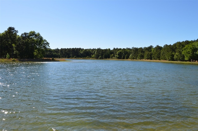 17905 Chestnut Dr, Waller, TX 77484 - photo 18