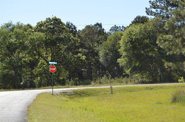 17905 Chestnut Dr, Waller, TX 77484 - photo 28