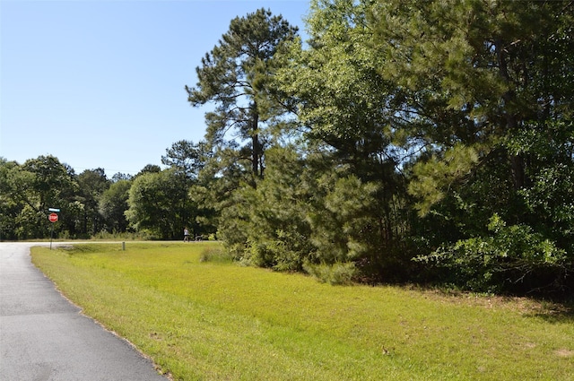 17905 Chestnut Dr, Waller, TX 77484 - photo 2