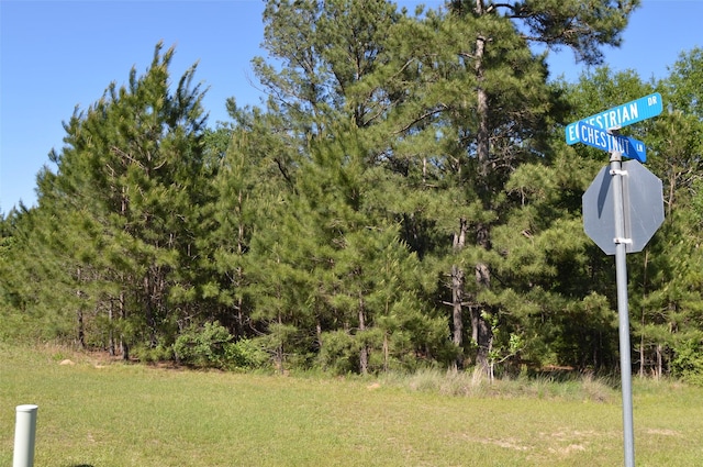 17905 Chestnut Dr, Waller, TX 77484 - photo 3