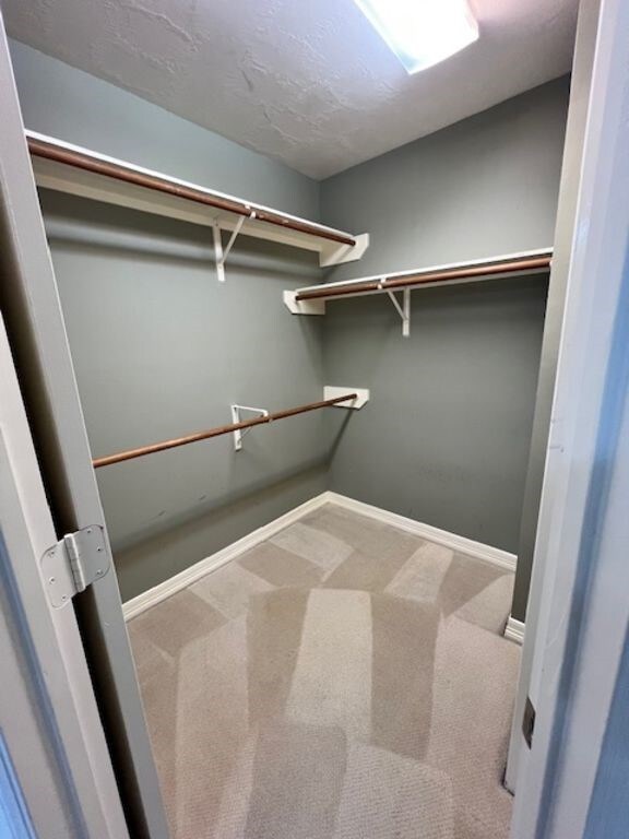 2 Fournace Gardens Dr, Bellaire, TX 77401 - spacious closet featuring carpet floors