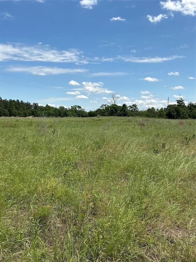 000 Fcr 352, Oakwood, TX 75855