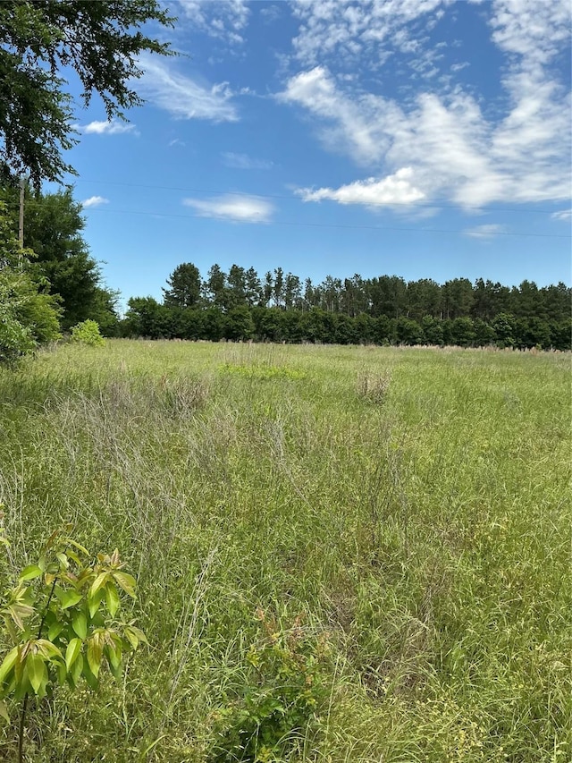 000 Fcr 352, Oakwood, TX 75855