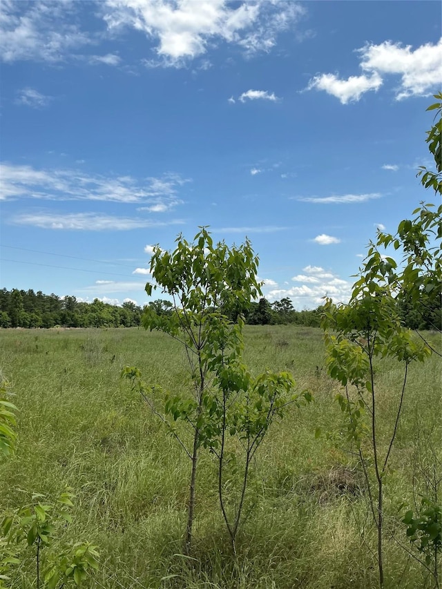 000 Fcr 352, Oakwood, TX 75855