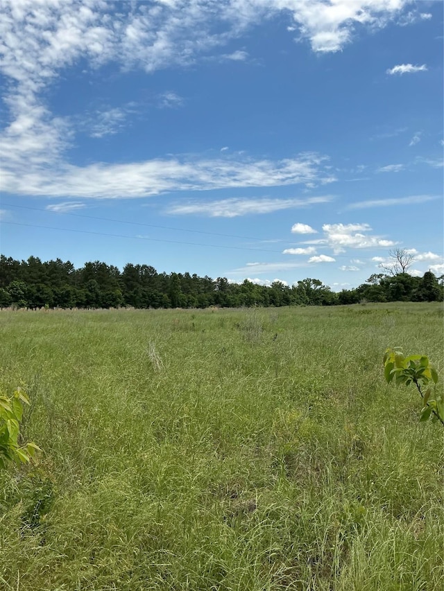 000 Fcr 352, Oakwood, TX 75855
