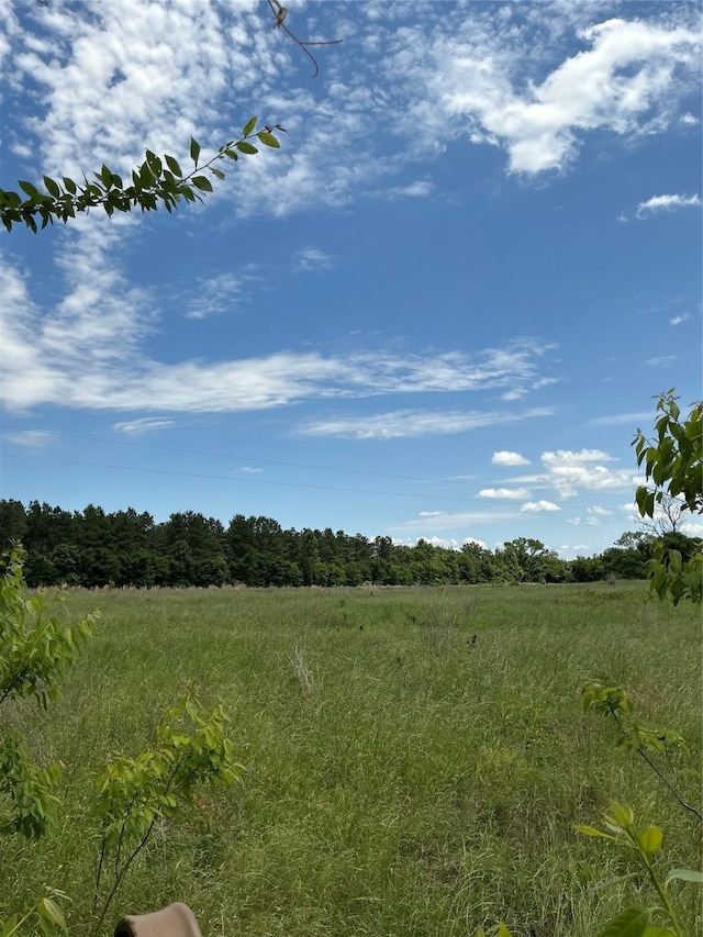 000 Fcr 352, Oakwood, TX 75855