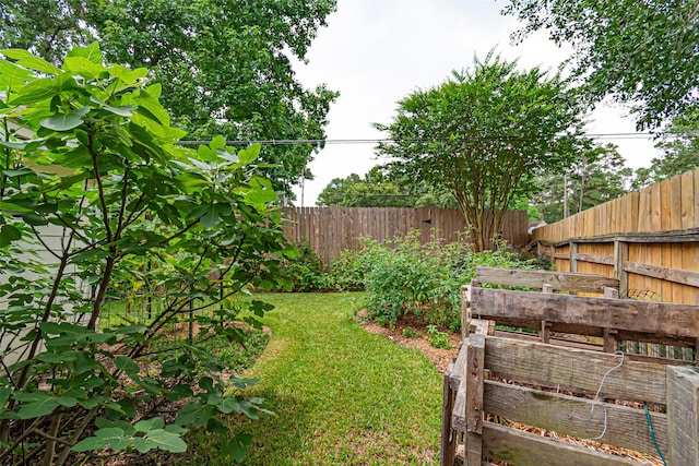 13219 Allysum Ct, Cypress, TX 77429 - view of yard