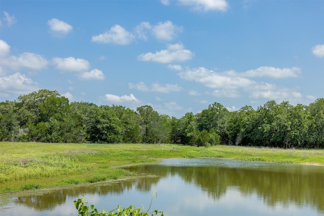 TBD Halamicek Loop, Fayetteville, TX 78940