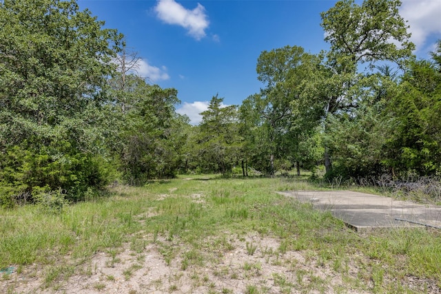 TBD Halamicek Loop, Fayetteville, TX 78940