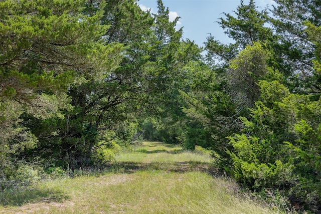 TBD Halamicek Loop, Fayetteville, TX 78940