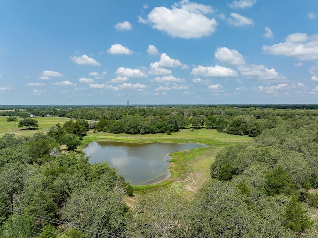 TBD Halamicek Loop, Fayetteville, TX 78940
