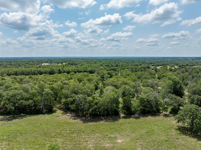 TBD Halamicek Loop, Fayetteville, TX 78940