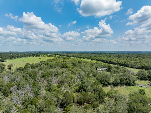 TBD Halamicek Loop, Fayetteville, TX 78940