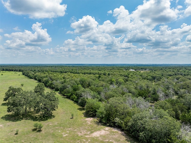 TBD Halamicek Loop, Fayetteville, TX 78940