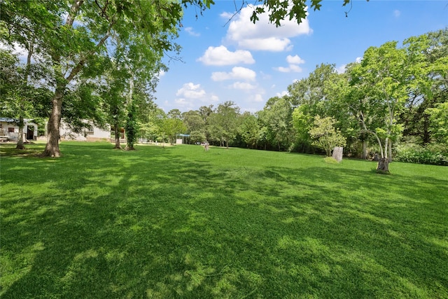 13236 Fm 1409 Unit A, Dayton, TX 77535 - view of green lawn