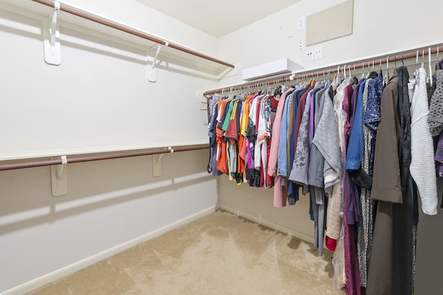12007 Bach Orchard Trl, Houston, TX 77038 - walk in closet with carpet floors