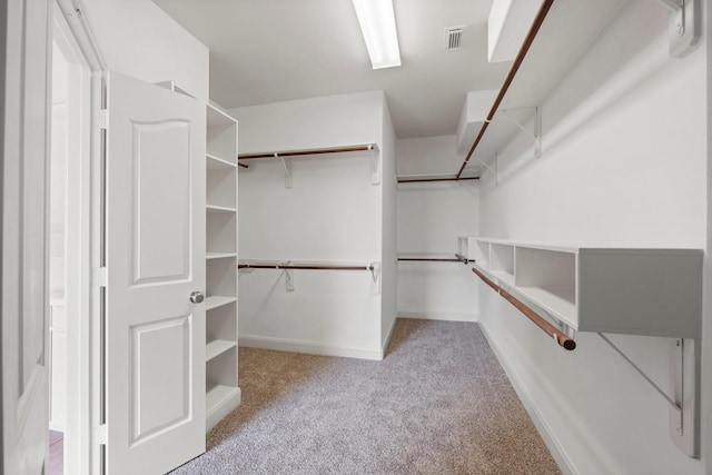 13202 Brushy Knoll Ln, Sugar Land, TX 77498 - walk in closet with carpet