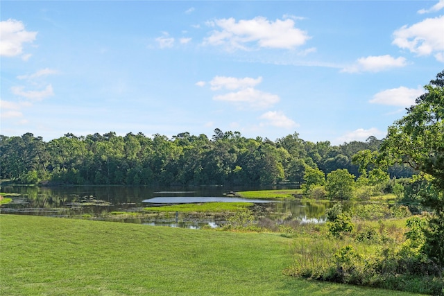 42588 Rustico Rd, Magnolia, TX 77354 - photo 17